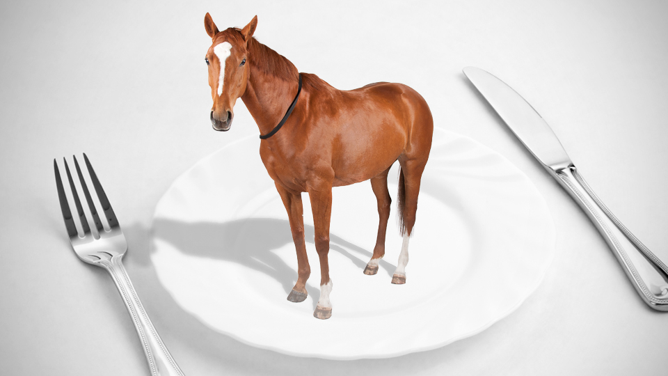 horse on plate
