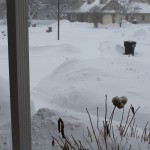 IMG_2650